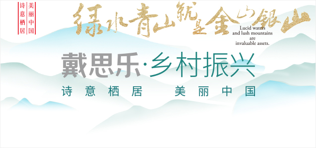 亿万先生MR振兴村落