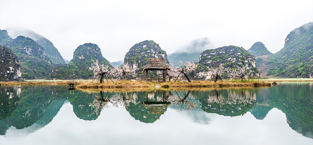 人为湿地,湿地建设