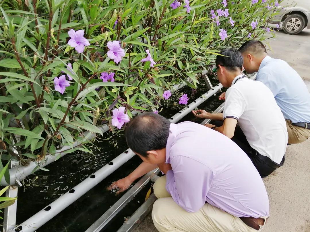 亿万先生MR泳池工程,亿万先生MR酒店泳池工程