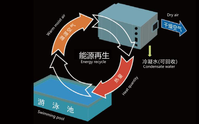游泳池设计规划