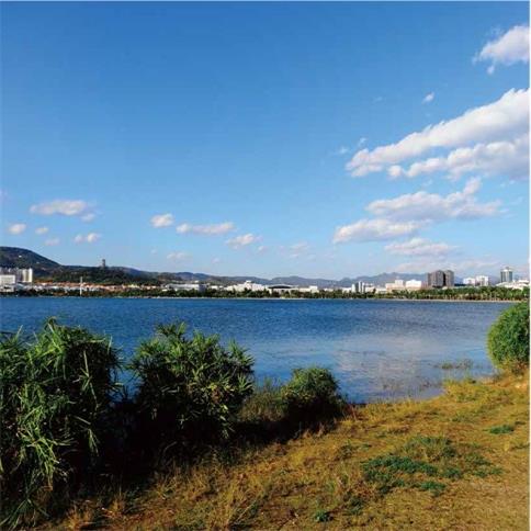 天山九峯人为湖治理