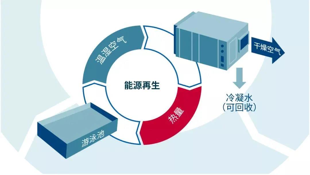 低氯游泳馆,无氯游泳池,低屡拙池，低氯系统