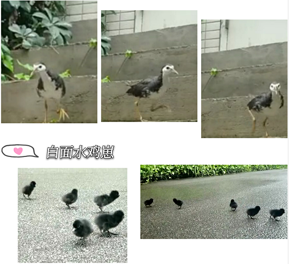 亿万先生MR科技园区到底有多