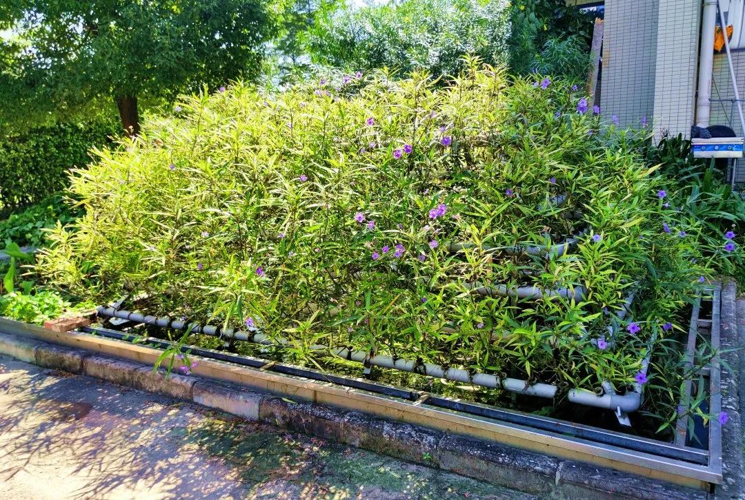 首页- 亿万先生MR集团官网登录