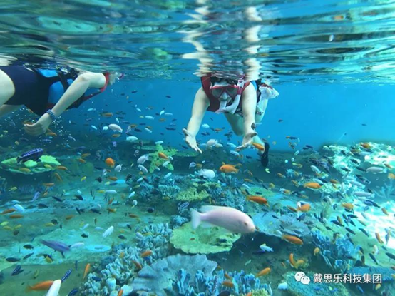 打造海洋浮潜履历馆必要哪些设备？