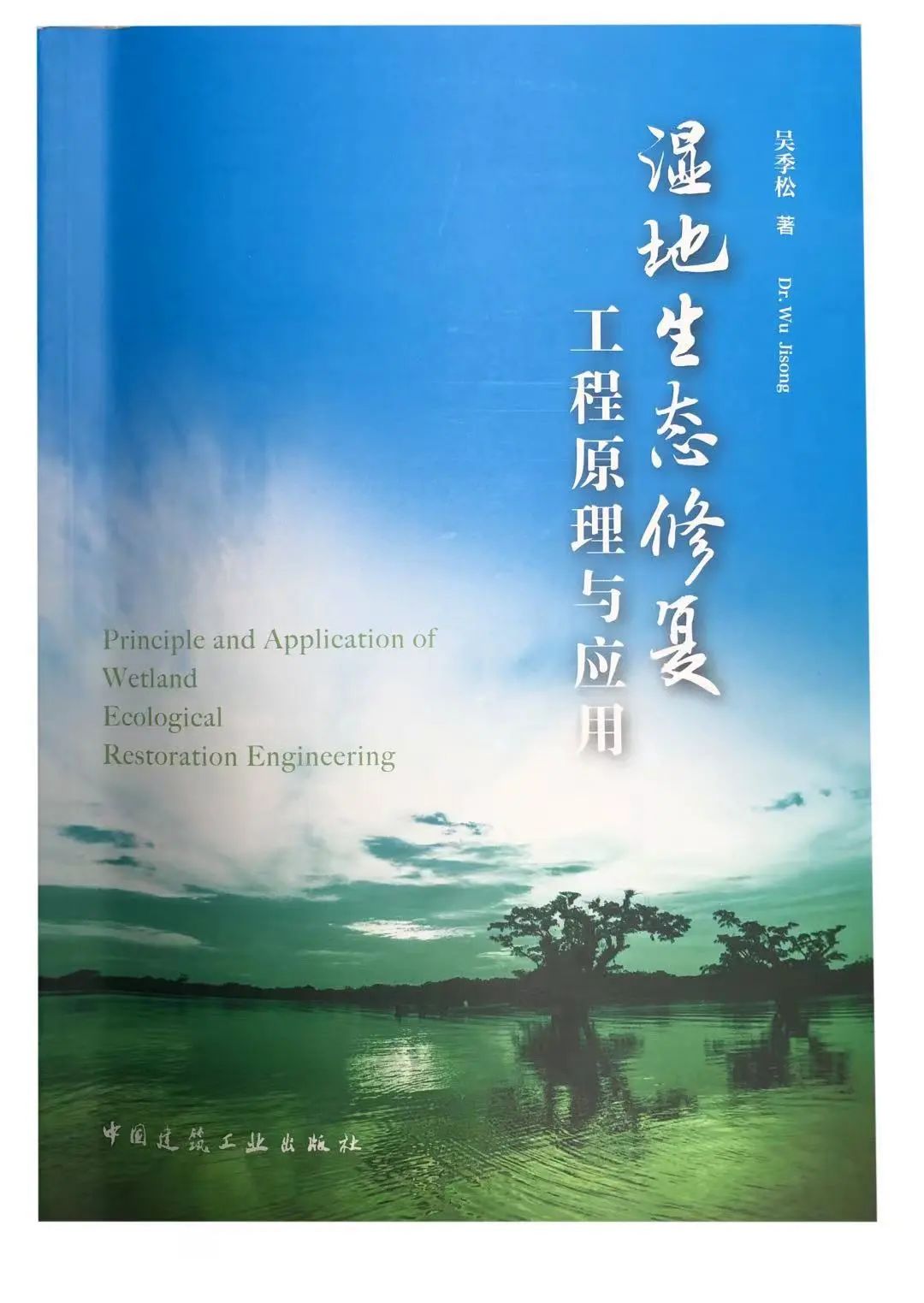 湿地生态建复工程道理与利用