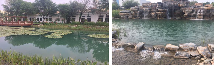 人为湖治理,城市人为湖治理